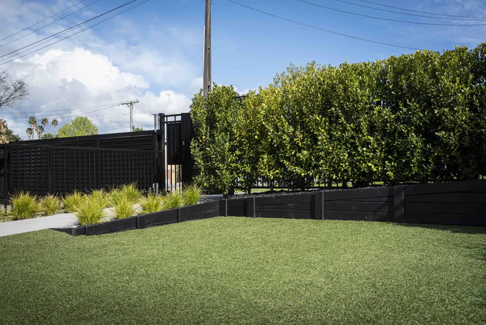 Lawn with sloping timber retaining wall and hedge